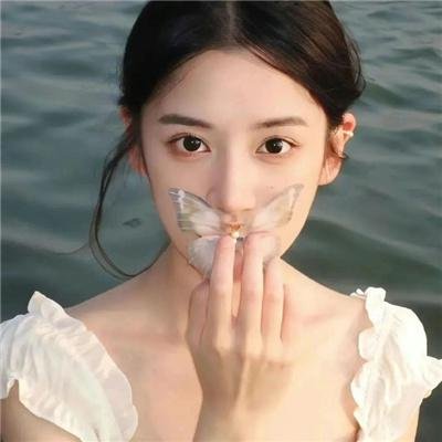 还珠记