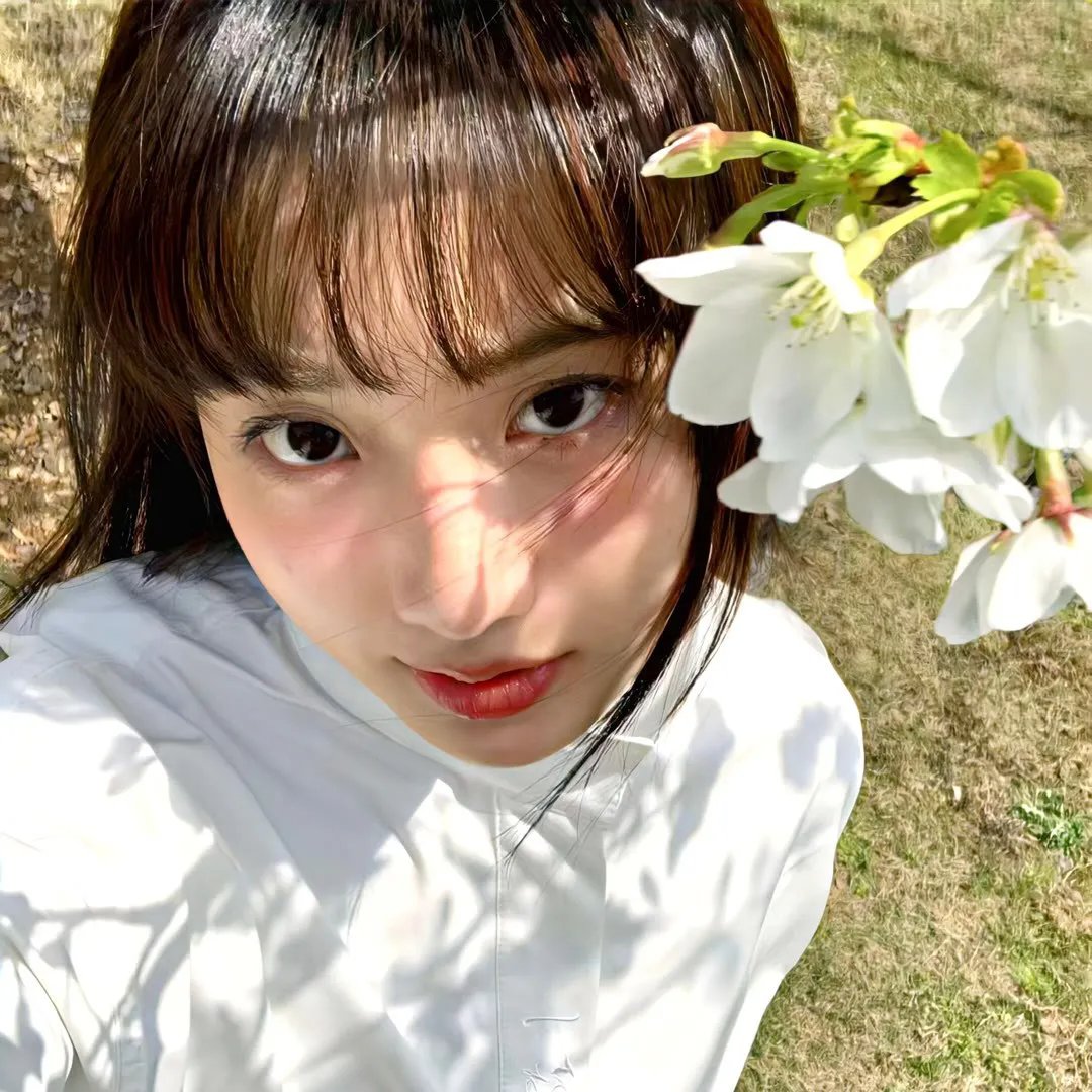 战马
